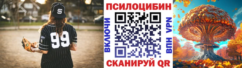 магазин    Сафоново  Псилоцибиновые грибы Cubensis 
