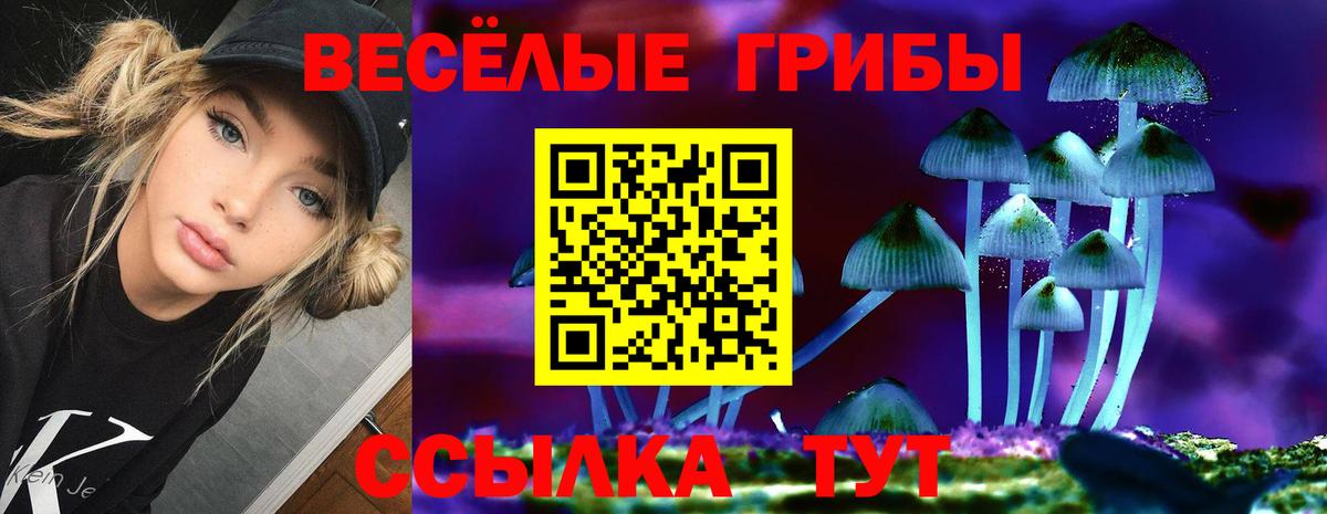 Галлюциногенные грибы Magic Shrooms  Псилоцибиновые грибы Psilocybe  Сафоново  Вход с VPN 