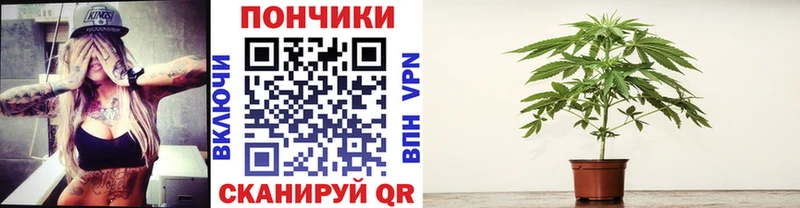 гидра Сафоново Канабис планчик